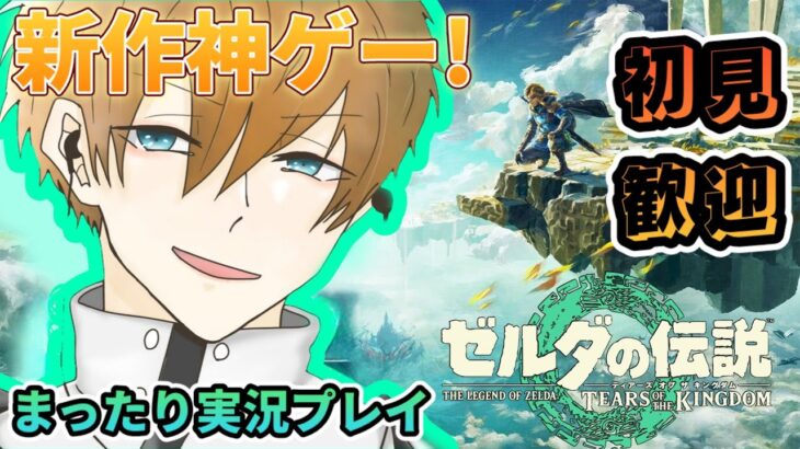 【初見歓迎◎】あの冒険の続きを紡ぐ！新作ゼル伝をまったり実況プレイ！【ゼルダの伝説 ティアーズ オブ ザ キングダム】＃13 #totk