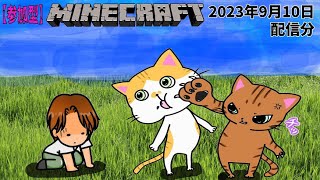 【誰か手伝って】　switch版　Minecraft