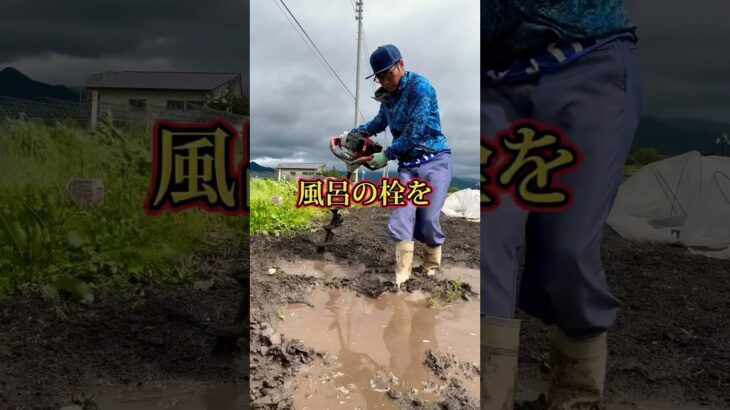 畑の水はけ改善 #tiktok #shorts