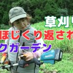 無残にもイノシシにほじくり返されたロックガーデンの草刈り