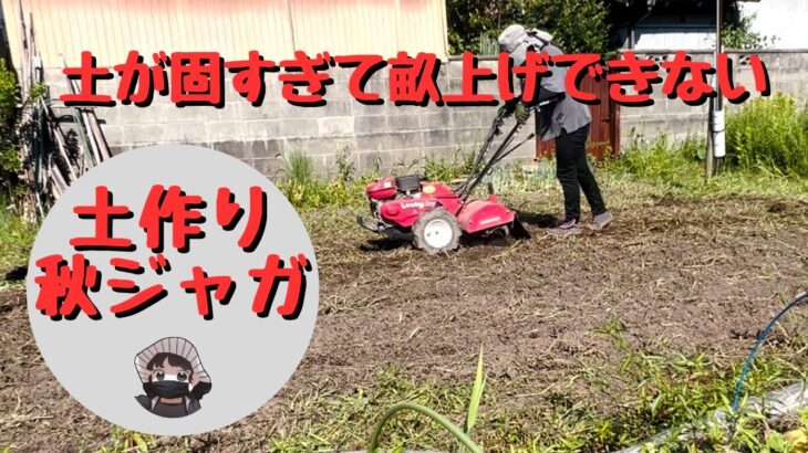 土作り秋じゃが編【耕運機】【石灰窒素】【草刈り】【家庭菜園】