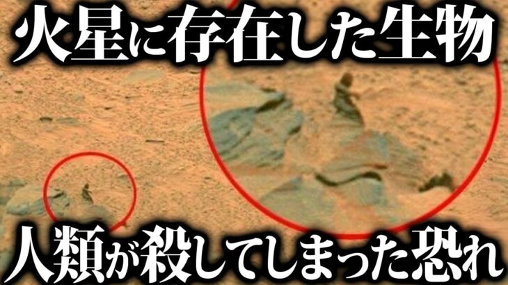 【ゆっくり解説】人類はすでに「火星の生物」を発見していたが、殺してしまったかもしれない。。