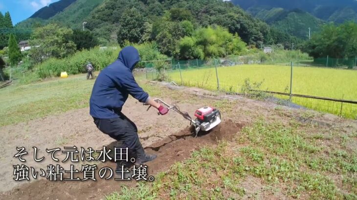 2023年秋　耕運機・軽トラ・地域の人々