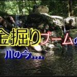 砂金掘りブームのあった川の現在は…#砂金採り　#Gold #金属探知機　#Gold panning