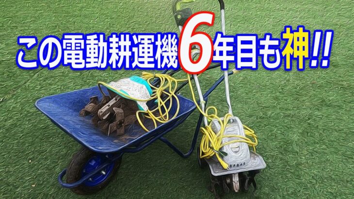 【北国の生活】電動耕運機は軽い方が楽です!!　2023.12.1（高儀電動耕運機、家庭菜園、畝の耕運作業、野菜、ラズベリー、イチゴ、ブルーベリー、収穫）