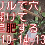 【追肥・穴肥】25mmのアースドリルを使って穴を開け、肥料を入れていきます。ナスの生育が悪いようです。【スターエム　アースドリル　両溝型 25mm　31B-250 】【野菜専用肥料４０３　コメリ】