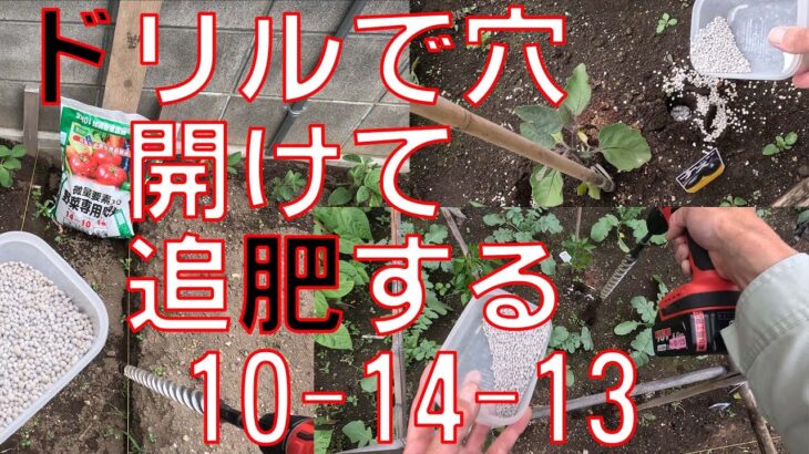 【追肥・穴肥】25mmのアースドリルを使って穴を開け、肥料を入れていきます。ナスの生育が悪いようです。【スターエム　アースドリル　両溝型 25mm　31B-250 】【野菜専用肥料４０３　コメリ】