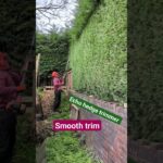 Hedge trimming #hedgetrimmer #hedgetrimming #gardeningtools #machines #garden #menatwork #machinery