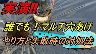 慣れれば簡単 マルチの穴あけ作業【失敗例と対処方法解説】