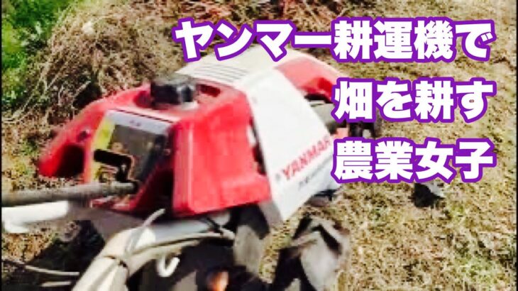 畑！！耕しまぁ〜すっ！！#耕運機 #農業女子 #ヤンマー