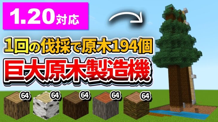 1.20対応【マイクラ統合版】1回で約200個もの原木を回収！超簡単な巨大原木製造機の作り方【PE/PS4/Switch/Xbox/Win10】ver1.20