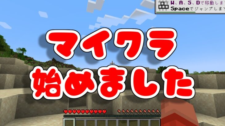 【マインクラフト】建築がしたくてついに買ってしまった。