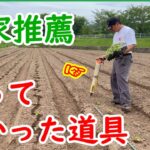 農家が推薦。買ってよかった道具は手動苗植え機【なかよしくんHPS-3みのる産業】エゴマの定植（植え付け）