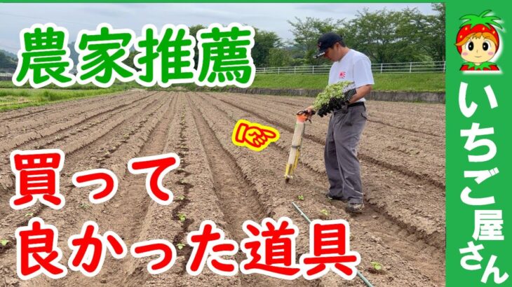 農家が推薦。買ってよかった道具は手動苗植え機【なかよしくんHPS-3みのる産業】エゴマの定植（植え付け）