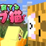 【マイクラ】デブ猫が太ってきたｗｗｗイモデブ猫生活Part2【からつけあっきぃ/AMPTAK】