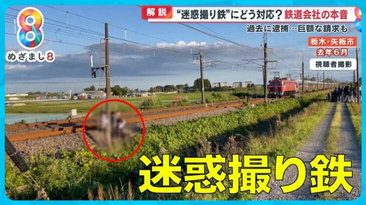 【弁護士解説】 “迷惑撮り鉄”急増中  無断侵入考えられる罪とは？ 鉄道会社のホンネは【めざまし８ニュース】