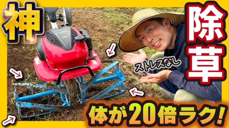 【神】体が20倍ラク！簡単に膝丈の草が除草できる方法【ホンダこまめ耕運機ブルースパイラル650を徹底解説】