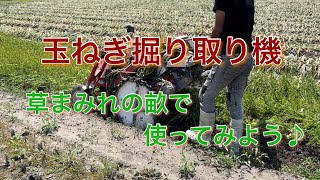 草すぎの畝でも機械が使えるかな？　24/6/1