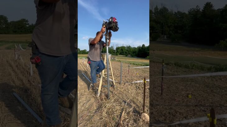 Pounding In Greenhouse Posts! #shorts