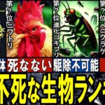 【閲覧注意】死なない生き物 TOP10【ゆっくり解説】【総集編】