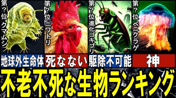 【閲覧注意】死なない生き物 TOP10【ゆっくり解説】【総集編】