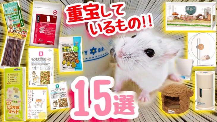 【15個】ハムスター飼育で重宝しているグッズ