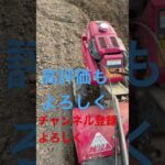 耕運機2回目の作業の様子