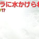 水上バイク【ハプニング⁉️】カメラ前が真っ白‼️ 水かけられた～～カメラがベチョベチョでも壊れ・・・❓️  砂川THE祭り2024  7月21日