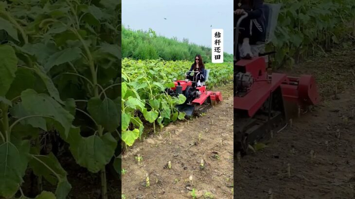 The rotary cultivator can replace the lawn mower with straw returning equipment. # Rotary tiller