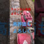 田んぼの苗のハウスの耕運機作業