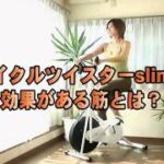 エアロバイク サイクルツイスタースリム