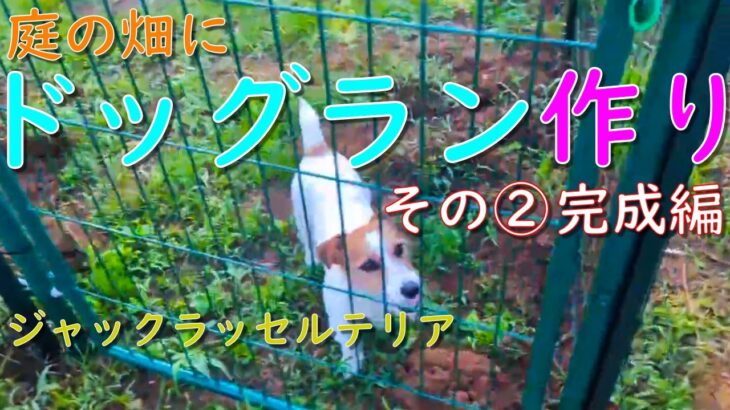 庭の畑にドッグランを作る その② 完成編 / ジャックラッセルテリア 犬の運動不足解消 犬のストレス解消