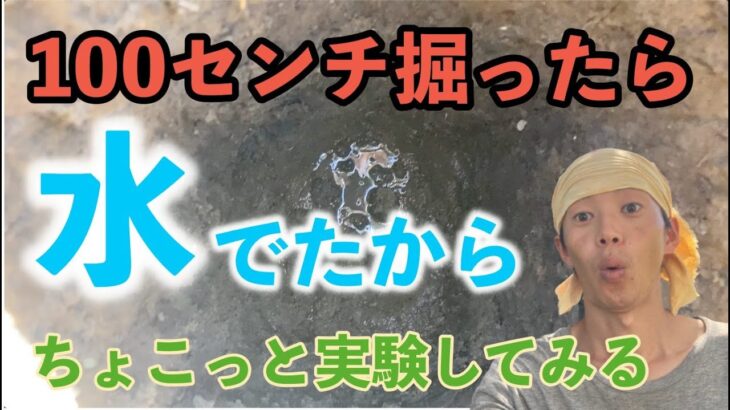 【畑の地下水】100㎝掘ったら水がでた！から実験してみるー【初心者】【自然農】【自然栽培】【三島の自然菜園まめまめクラブ】SuSAN