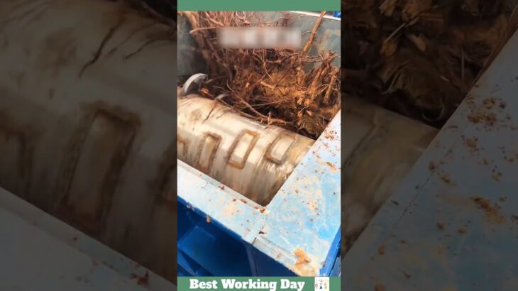 Best working day #1760 Chipper shreds tree roots