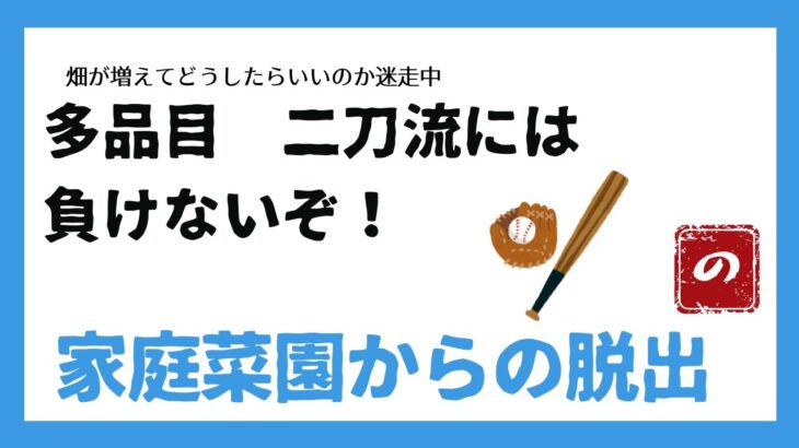 HONDAサラダ耕運機大活躍　あってよかったサラダさん　トウモロコシの一週間の成長の記録　畑が増えて暑くて何もできないno37 のりちゃん農園です！！2024 9 15～9.21　＃耕運機＃HONDA