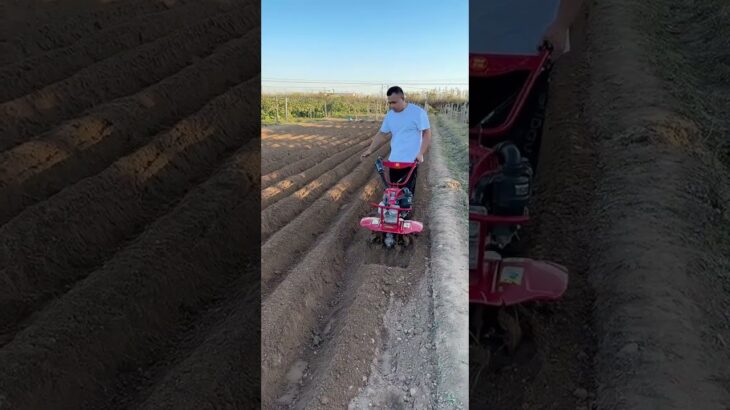 Multi-function micro-tillage machine Ditching and soil-raising machine agriculture machine🥶#shorts