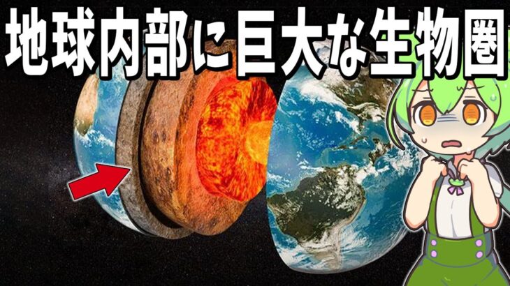 地下数千メートルの地球内部にはどんな生き物がいるのか？【ずんだもん解説】