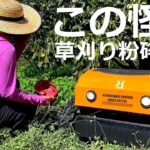 ラジコン草刈り機 ヤバい雑草の森を離れた場所から草刈りする｜HAIGE(ハイガー)ラジコン草刈機HG-RCGC501