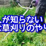 【楽に草刈り】初心者の知らない楽な草刈りの秘密