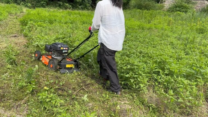 自走式草刈機を導入したら草刈りがめちゃくちゃ楽になりました