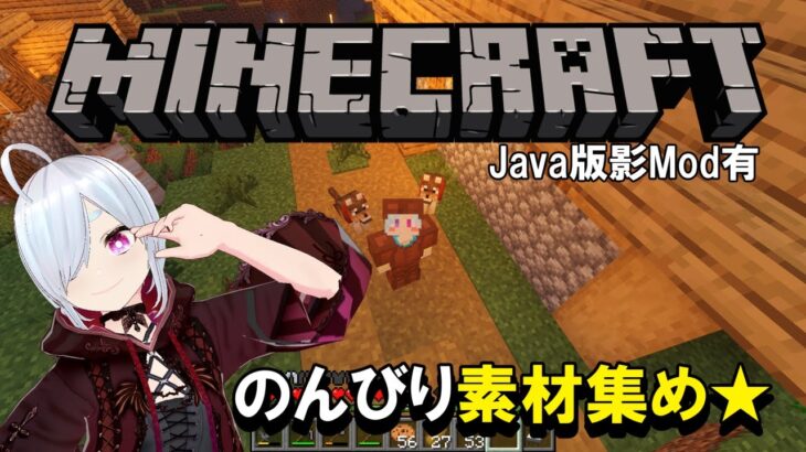 【#マインクラフト / #雑談 】穴掘りする？ちるたのチルいマインクラフト【ソロ】 #2【#ちるたch / #個人Vtuber】