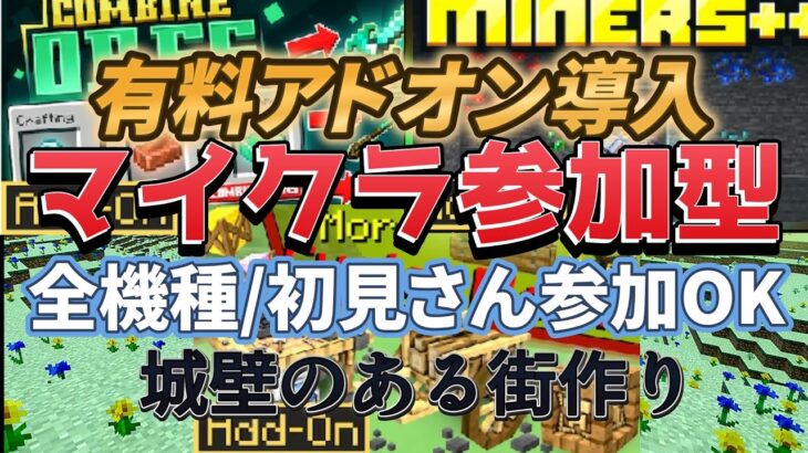 【初見さん大歓迎】マイクラ参加型有料アドオン導入【全機種参加OK】