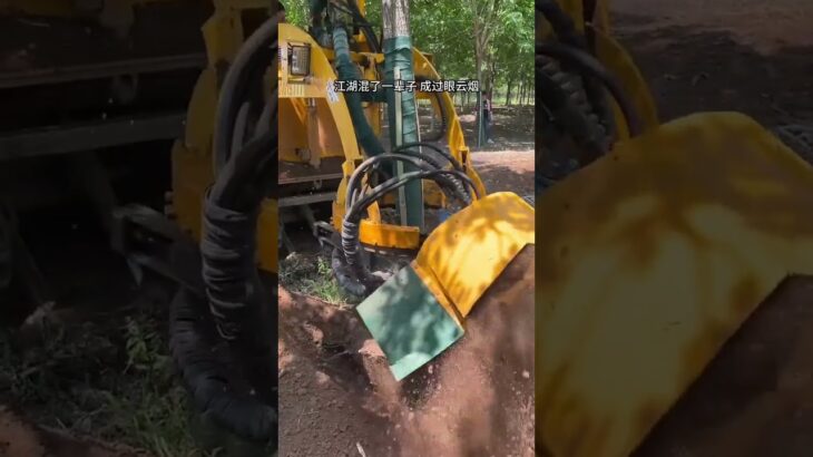 #TreeDigging #didingmachine #treedidingmachine #treedidingvideo #HeavyMachinery #TreeRemoval