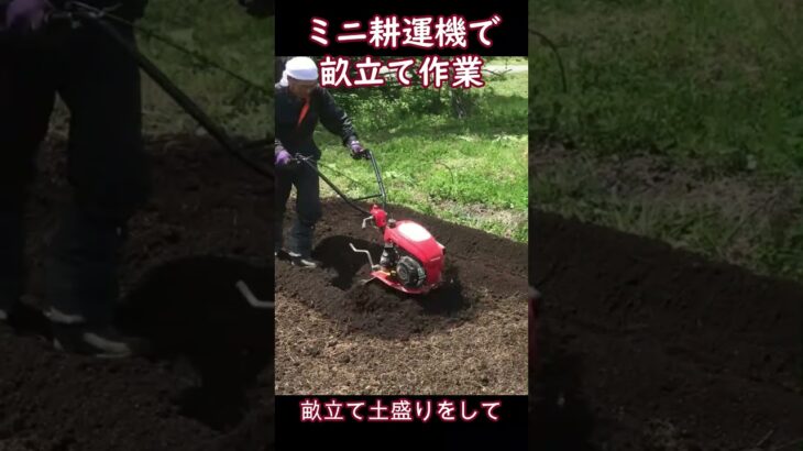 ミニ耕運機で畝立てをする作業のショート動画