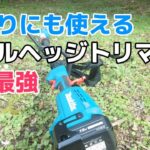 【草刈り】草刈り機ポールヘッジトリマーで笹刈り