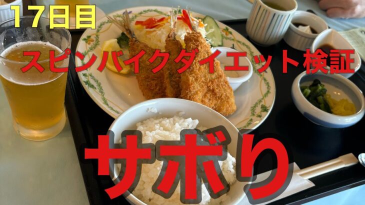 【17日目】スピンバイクダイエット検証