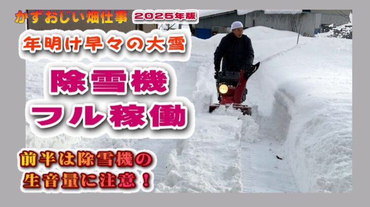 年明け早々に大雪！除雪機で雪を飛ばす様子をご覧ください（音量注意）：2025年版