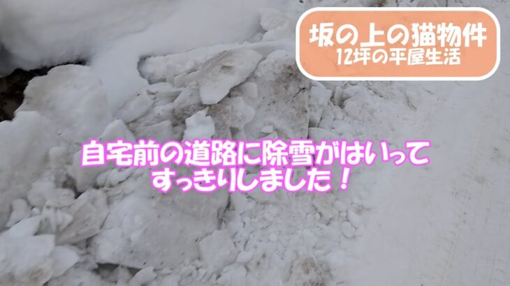 【40代独身の12坪 平屋生活】除雪機の不具合は未解決でも自宅前に除雪がはいったのでヨシとします