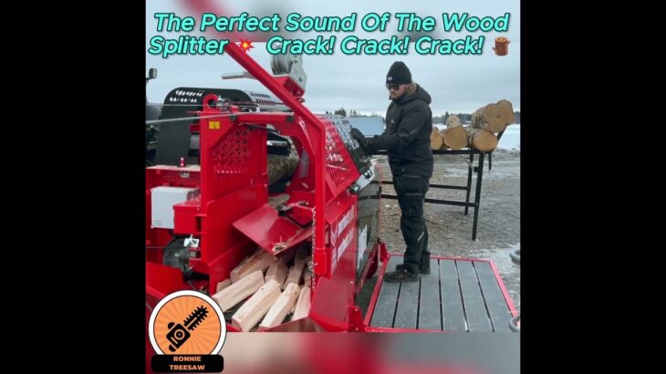 The Perfect Sound Of The Wood Splitter 💥 Crack! Crack! Crack! 🪵 #shorts #splittingfirewood #wood