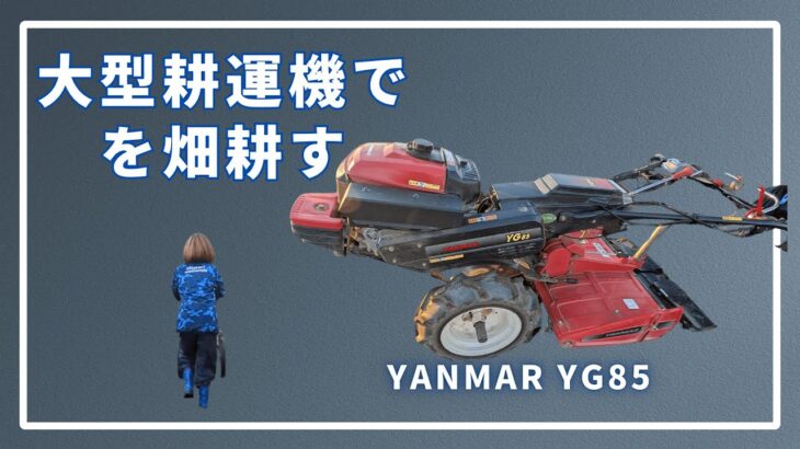 YANMARYG85で堆肥まき＆耕運フル稼働！大型耕運機が堆肥を混ぜて畑を整える！かわいらしい弟子も登場します！　あちこちの畑で１月に土作りをやります。　2025.1.11～1.18　＃のりちゃん農園